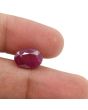 Ruby - 6.13 Carat 