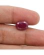 Ruby - 6.13 Carat 