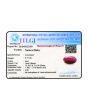 Ruby - 6.13 Carat 