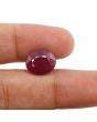 Ruby - 8.33 Carat 