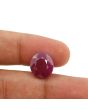 Ruby - 7.96 Carat 