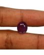 Ruby - 8.27 Carat 