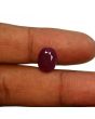 Ruby - 7.89 Carat 