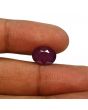 Ruby - 6.59 Carat 