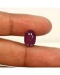 Ruby - 9.41 Carat 