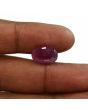 Ruby - 7.06 Carat 