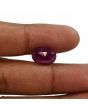 Ruby - 7.54 Carat 