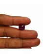 Ruby - 12.82 Carat 