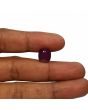Ruby - 12.82 Carat 