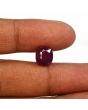 Ruby - 8.63 Carat 