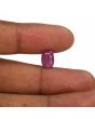 Ruby - 4.22 Carat 