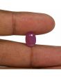 Ruby - 4.82 Carat 