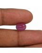 Ruby - 4.82 Carat 