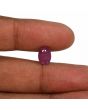 Ruby - 3.67 Carat 