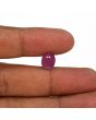 Ruby - 5.06 Carat 