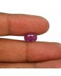 Ruby - 4.52 Carat 