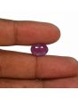 Ruby - 6.46 Carat 