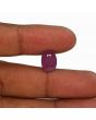 Ruby - 6.46 Carat 