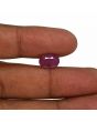 Ruby - 4.85 Carat 