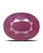 Ruby - 5.1 Carat 