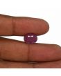 Ruby - 5.46 Carat 