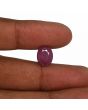 Ruby - 5.46 Carat 