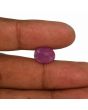 Ruby - 6.62 Carat 