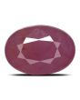 Ruby - 3.98 Carat 