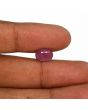 Ruby - 3.98 Carat 