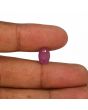 Ruby - 3.98 Carat 