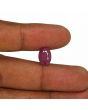Ruby - 5.1 Carat 