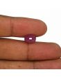 Ruby - 4.66 Carat 