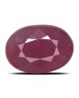 Ruby - 3.66 Carat 