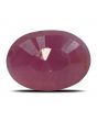 Ruby - 3.66 Carat 