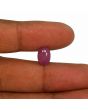 Ruby - 3.66 Carat 