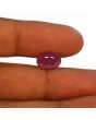 Ruby - 5.59 Carat 