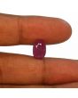 Ruby - 5.59 Carat 