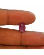 Ruby - 4.23 Carat 