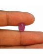 Ruby - 3.76 Carat 