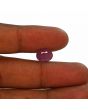 Ruby - 4.43 Carat 