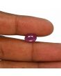 Ruby - 3.73 Carat 