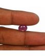 Ruby - 4.53 Carat 