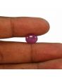Ruby - 4.53 Carat 