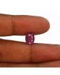 Ruby - 4.53 Carat 