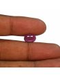 Ruby - 4.4 Carat 