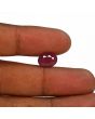 Ruby - 4.88 Carat 