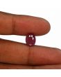 Ruby - 4.88 Carat 