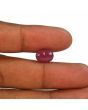 Ruby - 4.88 Carat 