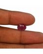 Ruby - 4.86 Carat 