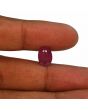Ruby - 4.86 Carat 
